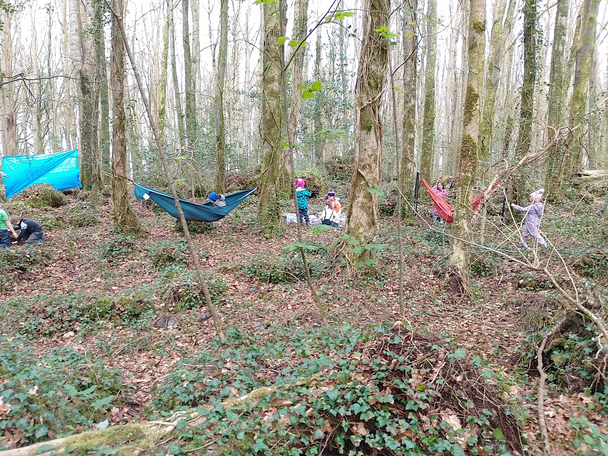 creative by nature - children learning outside at forest school