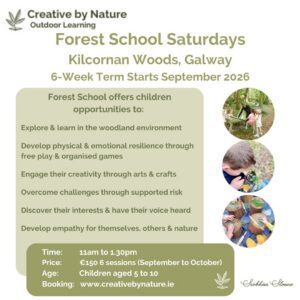 Forest School — 6-Week Autumn Programme