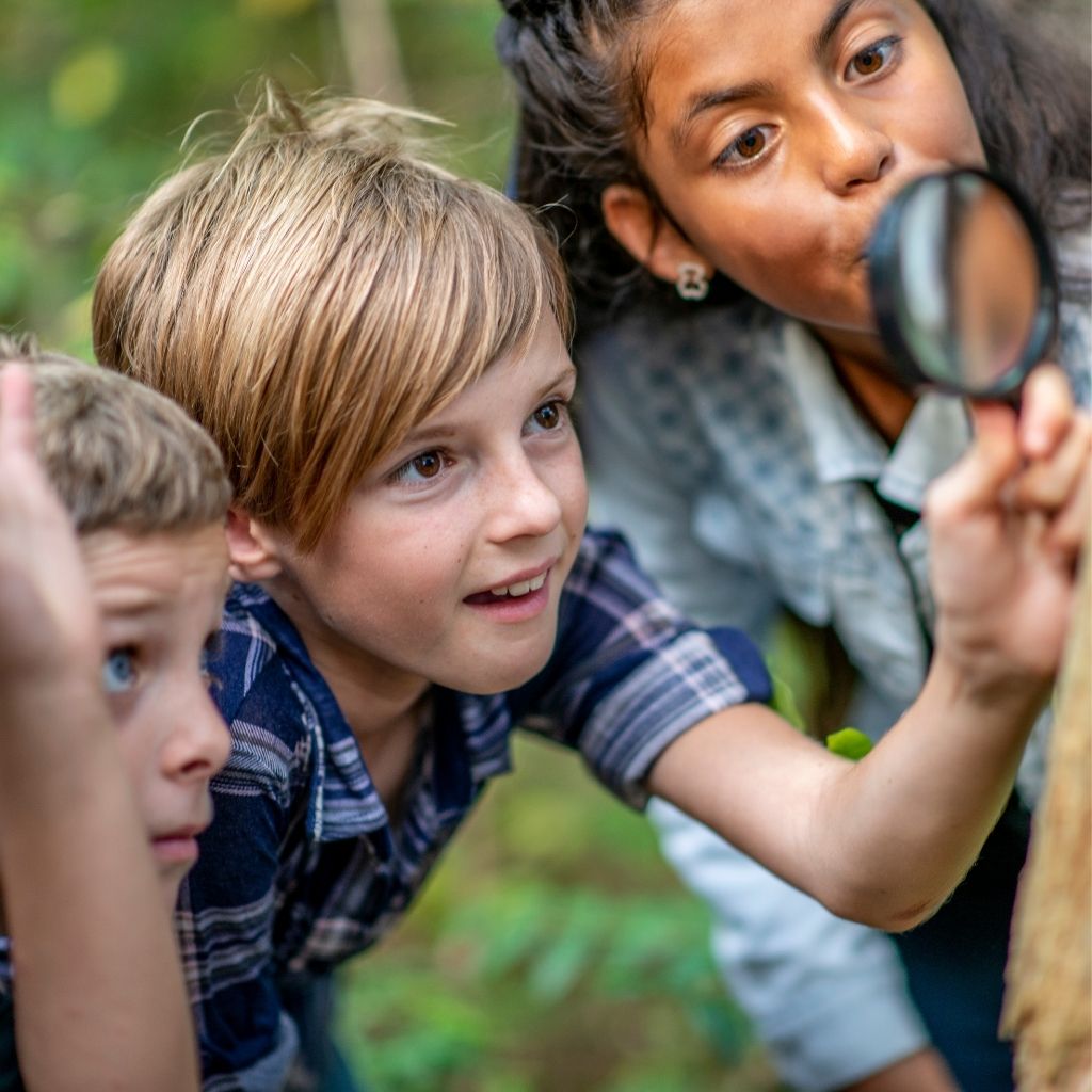 children looking at a tree with a microscope - forest school galway
