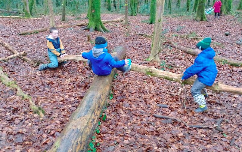 children looking at a tree with a microscope - forest school galway